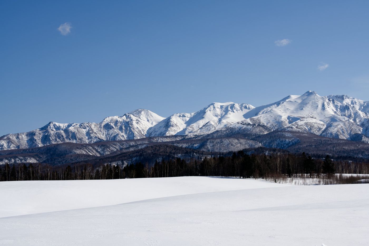 Snow-covered Hokkaidō, the snow country that the Shima-Enaga calls home